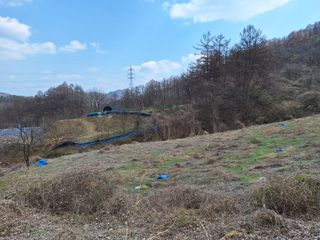 창열님의 기타작물 · 영농일지 작성글 사진