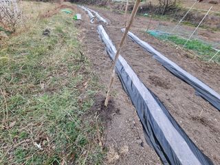 새싹님의 기타작물 · 영농일지 작성글 사진