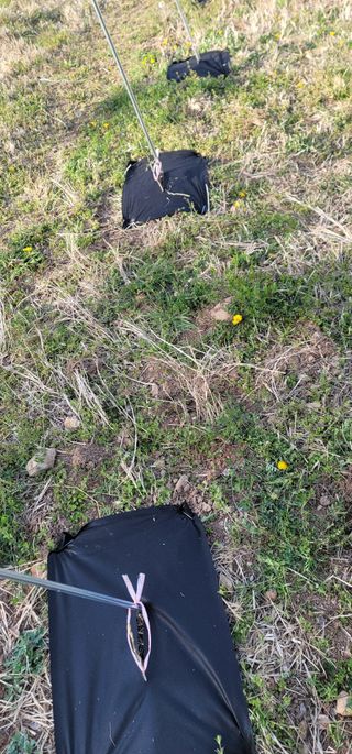 박종화님의 기타작물 · 영농일지 작성글 사진