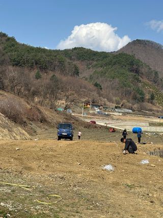 바람소리님의 기타작물 · 영농일지 작성글 사진