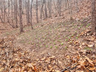 이성수님의 기타작물 · 영농일지 작성글 사진