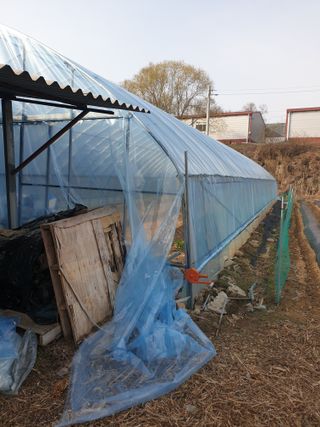 샤이니바다님의 기타작물 · 영농일지 작성글 사진