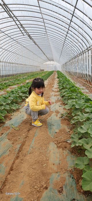 자연그대로님의 기타작물 · 영농일지 작성글 사진