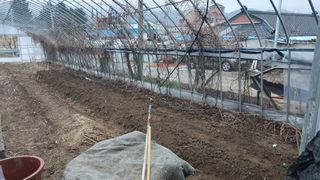 변호연님의 기타작물 · 영농일지 작성글 사진