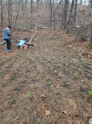 이성수님의 기타작물 · 영농일지 작성글 사진