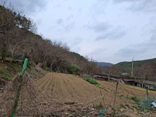 수기님의 기타작물 · 영농일지 작성글 사진