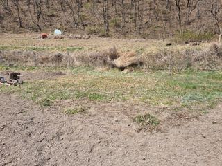 새싹님의 기타작물 · 영농일지 작성글 사진