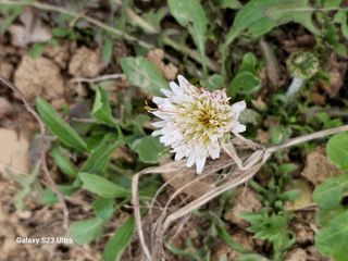 공주유구 구계박만호님의 기타작물 · 영농일지 작성글 사진