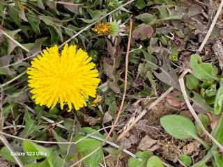 공주유구 구계박만호님의 기타작물 · 영농일지 작성글 사진
