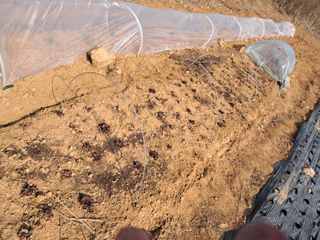 kh글로벌님의 기타작물 · 영농일지 작성글 사진