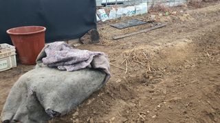 변호연님의 기타작물 · 영농일지 작성글 사진