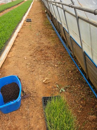 강선미님의 기타작물 · 영농일지 작성글 사진