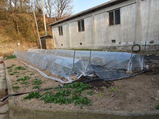 금강석님의 기타작물 · 영농일지 작성글 사진