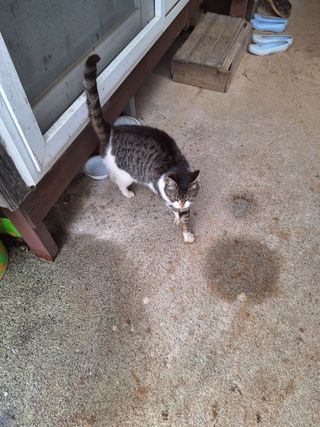 정희군님의 기타작물 · 영농일지 작성글 사진