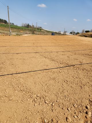 김저팔계님의 기타작물 · 영농일지 작성글 사진