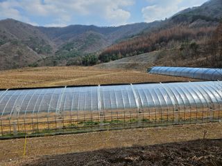 김시헌 님의 기타작물 · 영농일지 작성글 사진