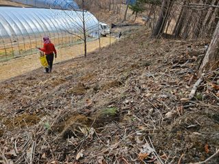 김시헌 님의 기타작물 · 영농일지 작성글 사진