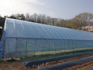 샤이니바다님의 기타작물 · 영농일지 작성글 사진