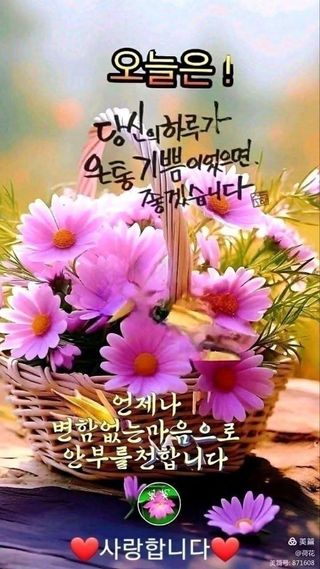 가을바람소슬바람님의 기타작물 · 영농일지 작성글 사진