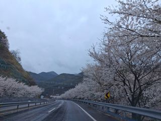 수기님의 기타작물 · 영농일지 작성글 사진
