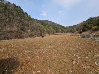 김주희님의 기타작물 · 영농일지 작성글 사진