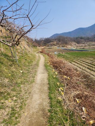 나무님의 기타작물 · 영농일지 작성글 사진
