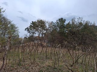 수기님의 기타작물 · 영농일지 작성글 사진