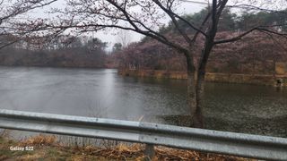 김준한님의 기타작물 · 영농일지 작성글 사진