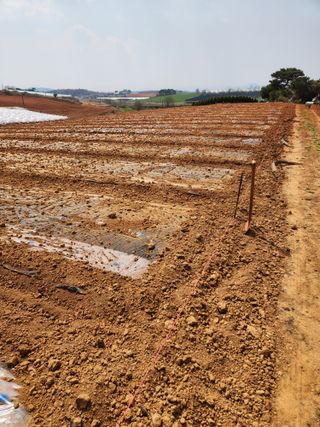 김저팔계님의 기타작물 · 영농일지 작성글 사진