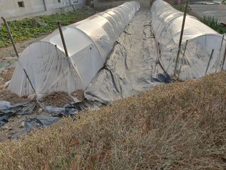 금강석님의 기타작물 · 영농일지 작성글 사진