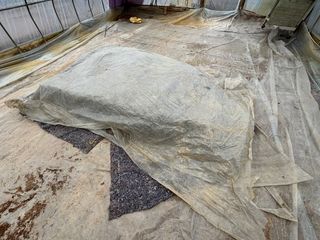 곰새끼님의 기타작물 · 영농일지 작성글 사진