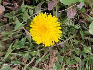 공주유구 구계박만호님의 기타작물 · 영농일지 작성글 사진
