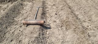 황인동님의 기타작물 · 영농일지 작성글 사진