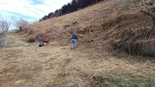 이순기님의 기타작물 · 영농일지 작성글 사진