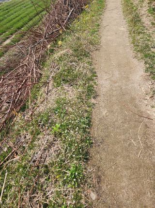 나무님의 기타작물 · 영농일지 작성글 사진