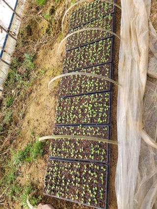 송미향님의 기타작물 · 영농일지 작성글 사진