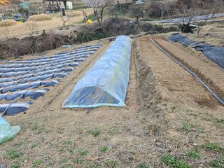 장흥식님의 기타작물 · 영농일지 작성글 사진