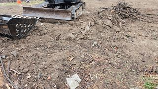 산그린약초농원님의 기타작물 · 영농일지 작성글 사진