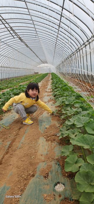 자연그대로님의 기타작물 · 영농일지 작성글 사진