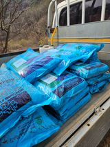 팜모닝 기타작물·영농일지 게시글 이미지