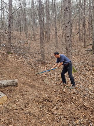 이성수님의 기타작물 · 영농일지 작성글 사진