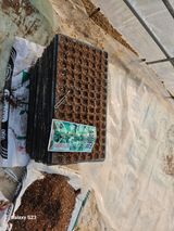 팜모닝 기타작물·영농일지 게시글 이미지