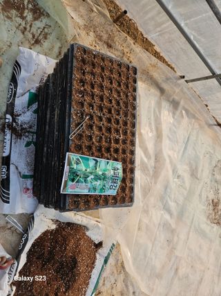 흥부네땅님의 기타작물 · 영농일지 작성글 사진