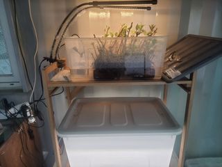 김홍중님의 기타작물 · 영농일지 작성글 사진