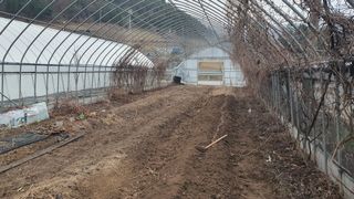 변호연님의 기타작물 · 영농일지 작성글 사진