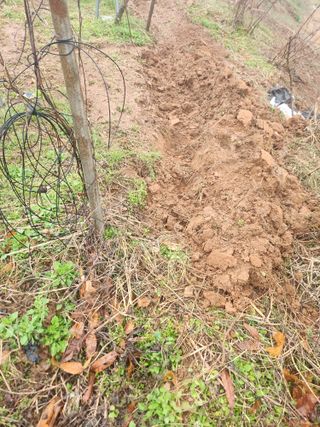 벽창호(죽동농부)님의 사과 · 영농일지 작성글 사진