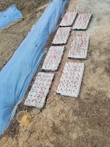 팜모닝 기타작물·영농일지 게시글 이미지