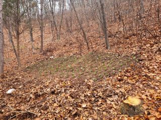 이성수님의 기타작물 · 영농일지 작성글 사진