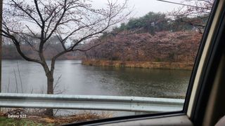 김준한님의 기타작물 · 영농일지 작성글 사진