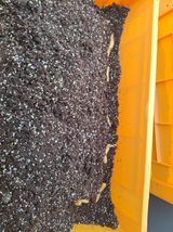 팜모닝 기타작물·영농일지 게시글 이미지